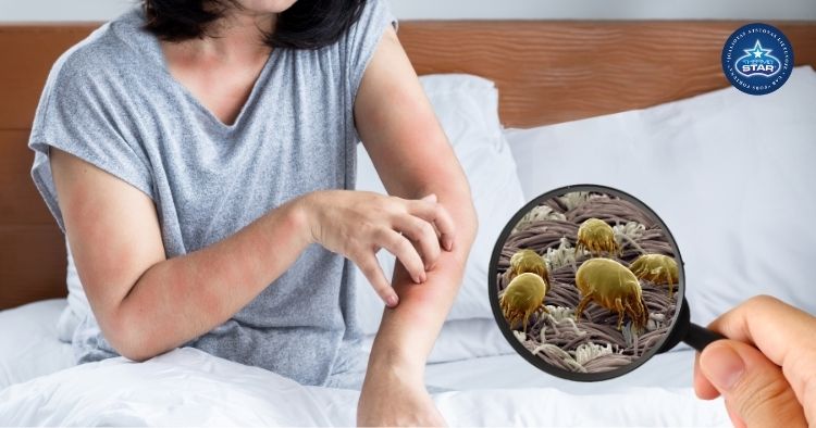 Dulkių erkutės ir sveikata: ką rodo tyrimai?